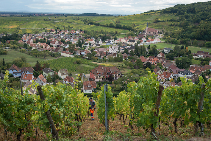 A vineyard overlooks a small French village in the middle of a green valley