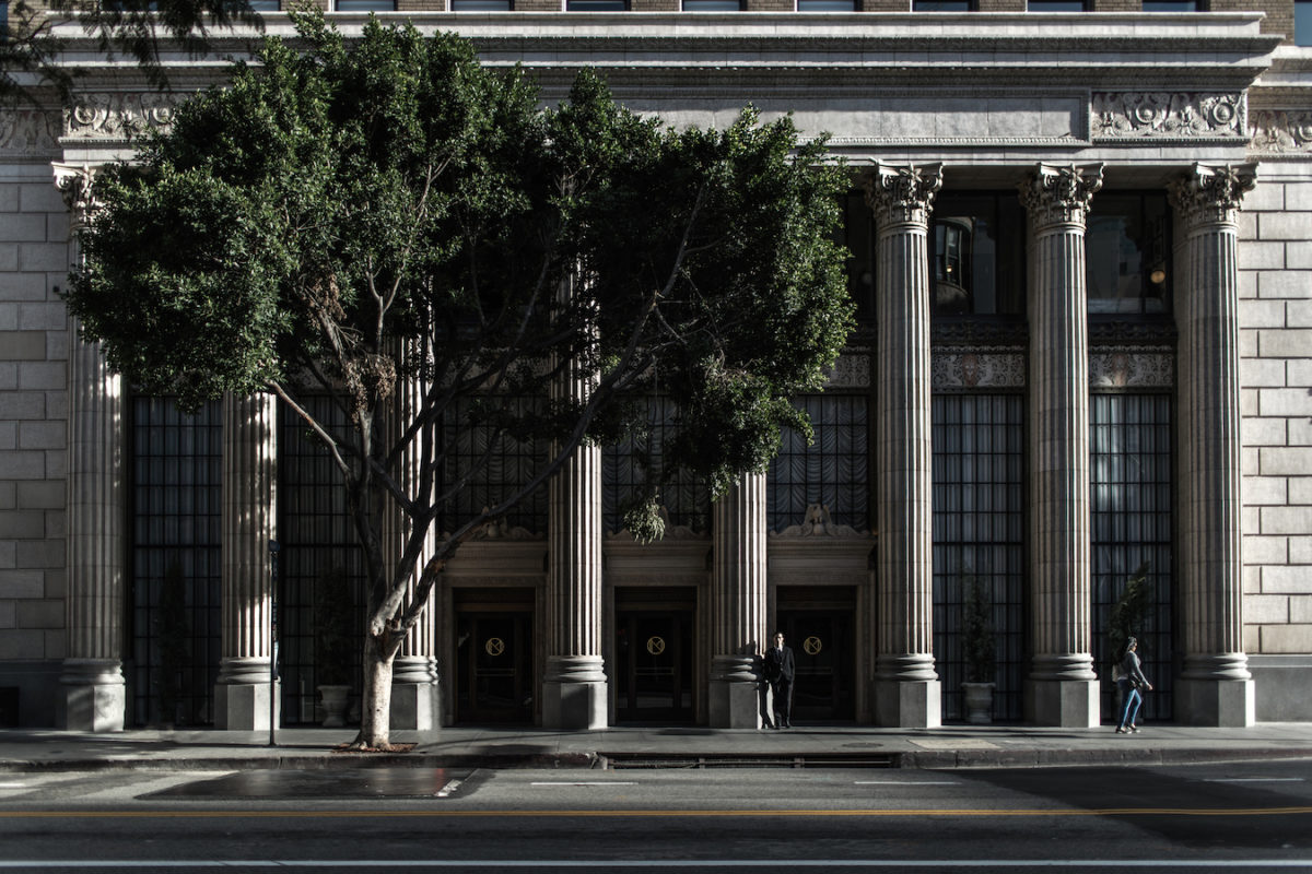 a giant tree standing in front of a large building with tall white columns