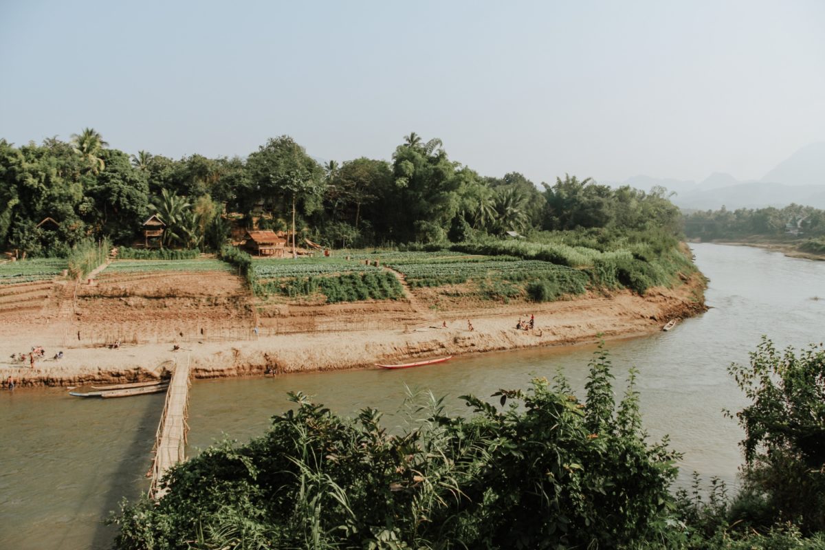 a river surrounded by rice fields