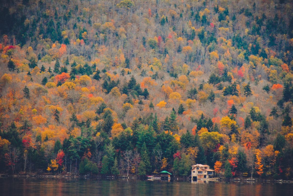 a small cabin sits on the shore of a dark lake surrounded by bright autumnal trees