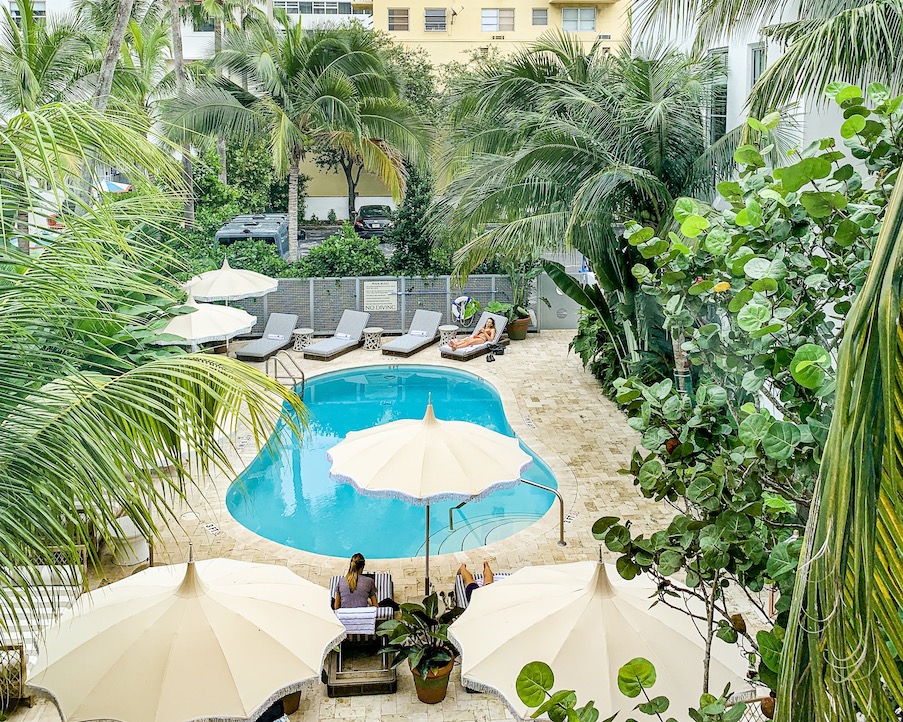 a small pool surrounded by large palm trees and umbrellas