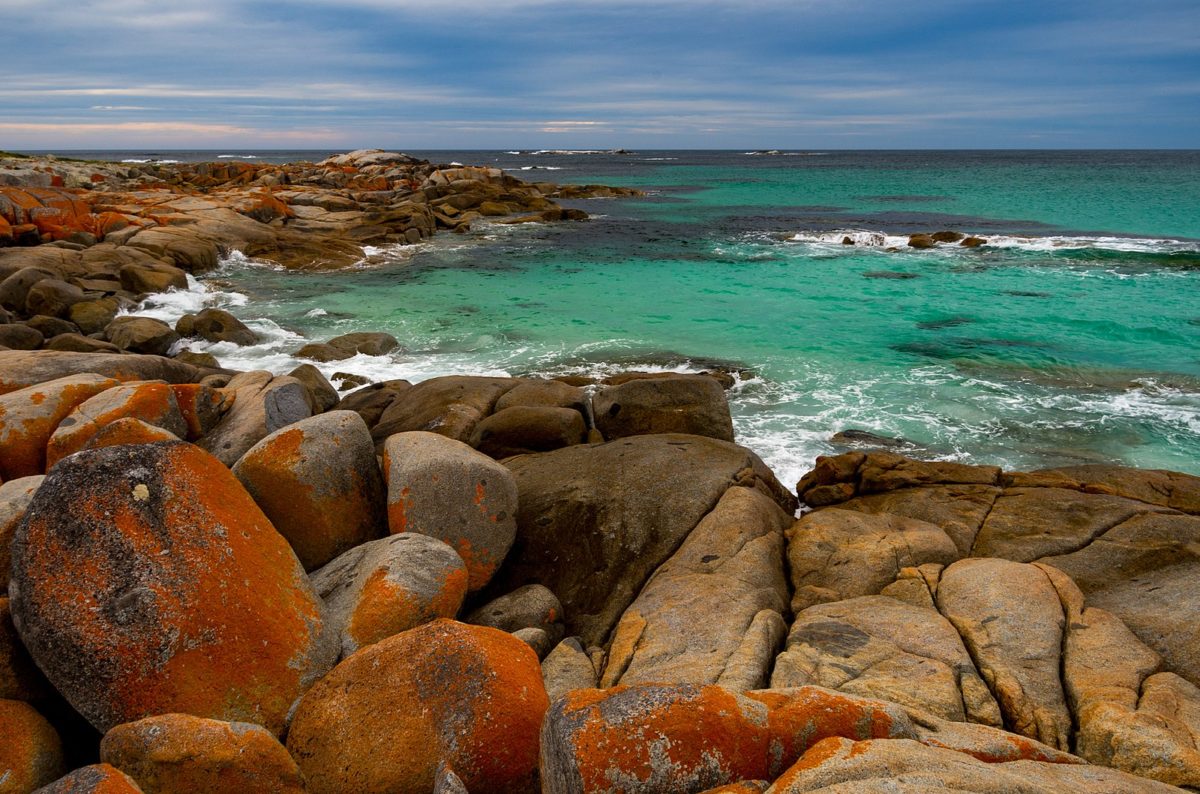 a shore crowded with rocks along the sea