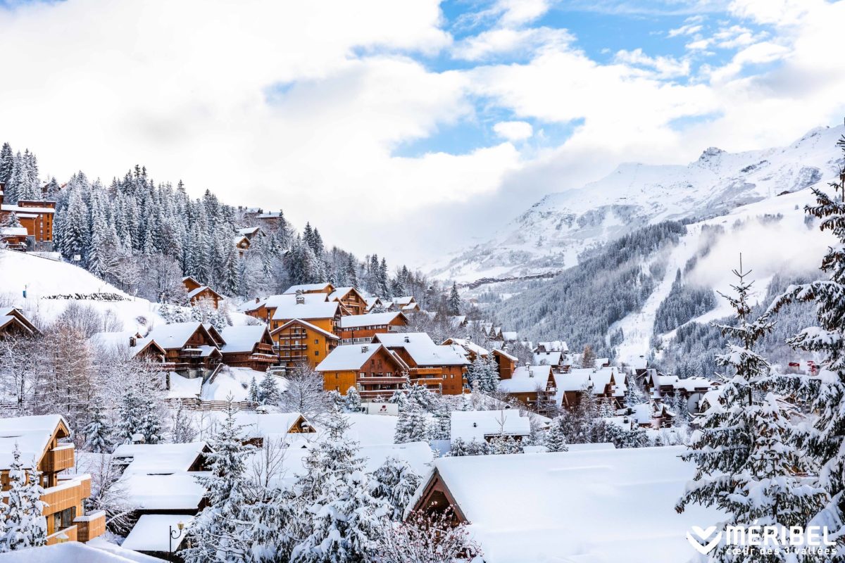 alpine ski resort among trees and snow