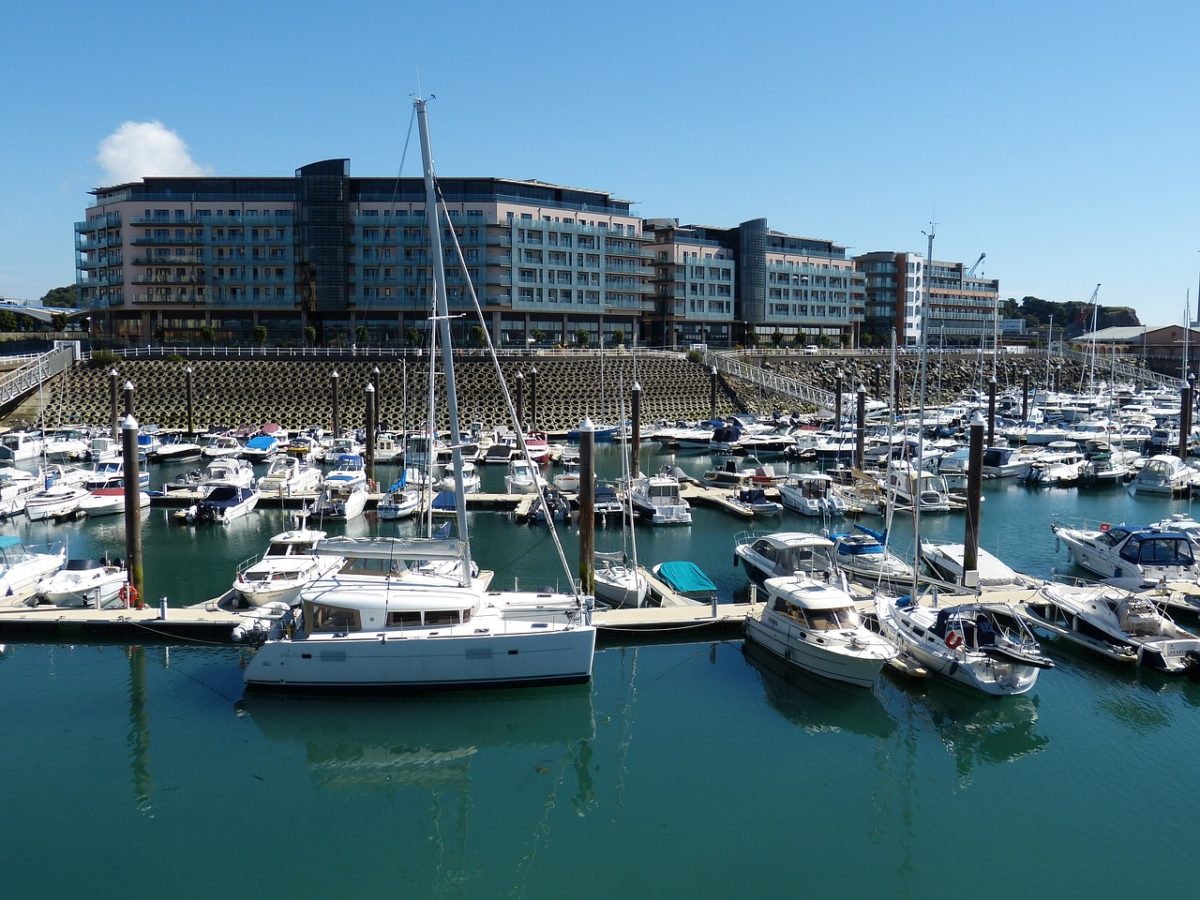 sailboats docked in a harbor