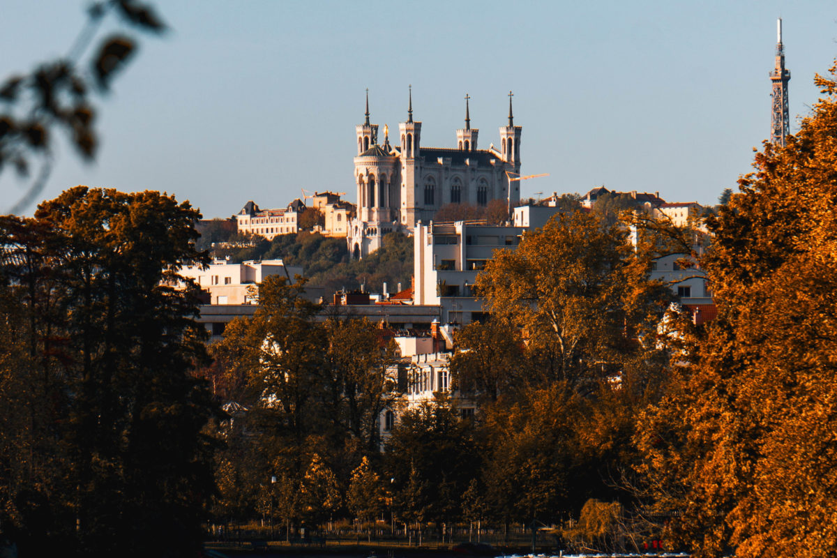 a castle behind fall trees