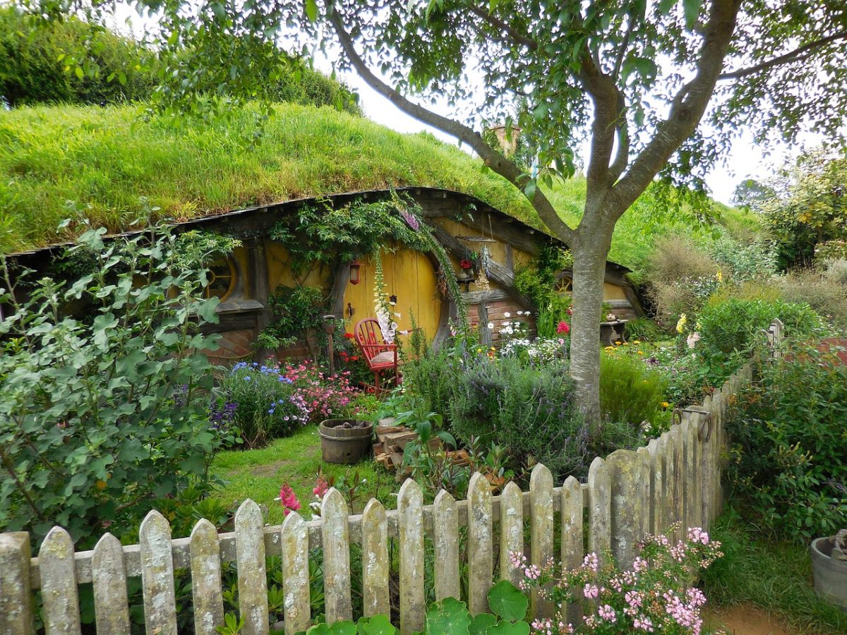 a home with plants and grass growing on the roof