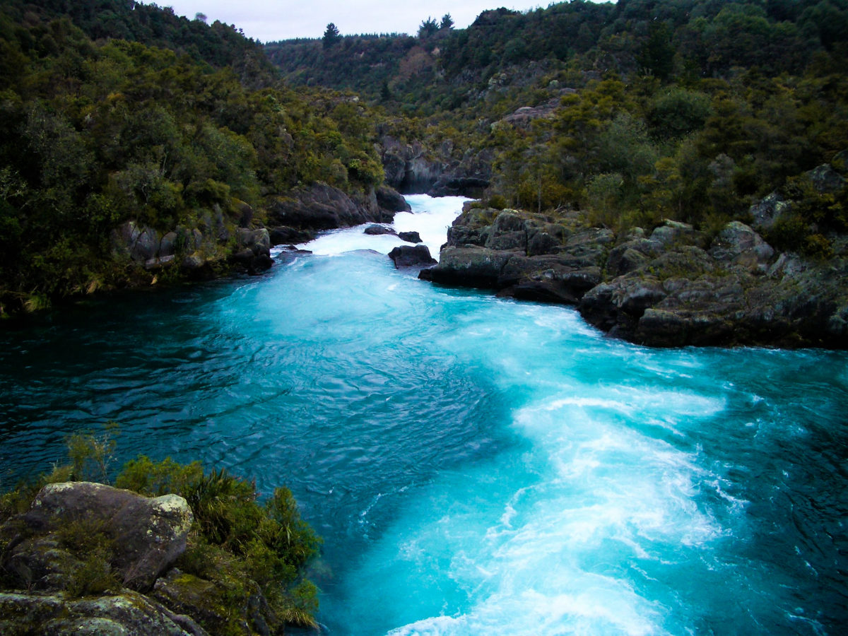 a winding river in a forest