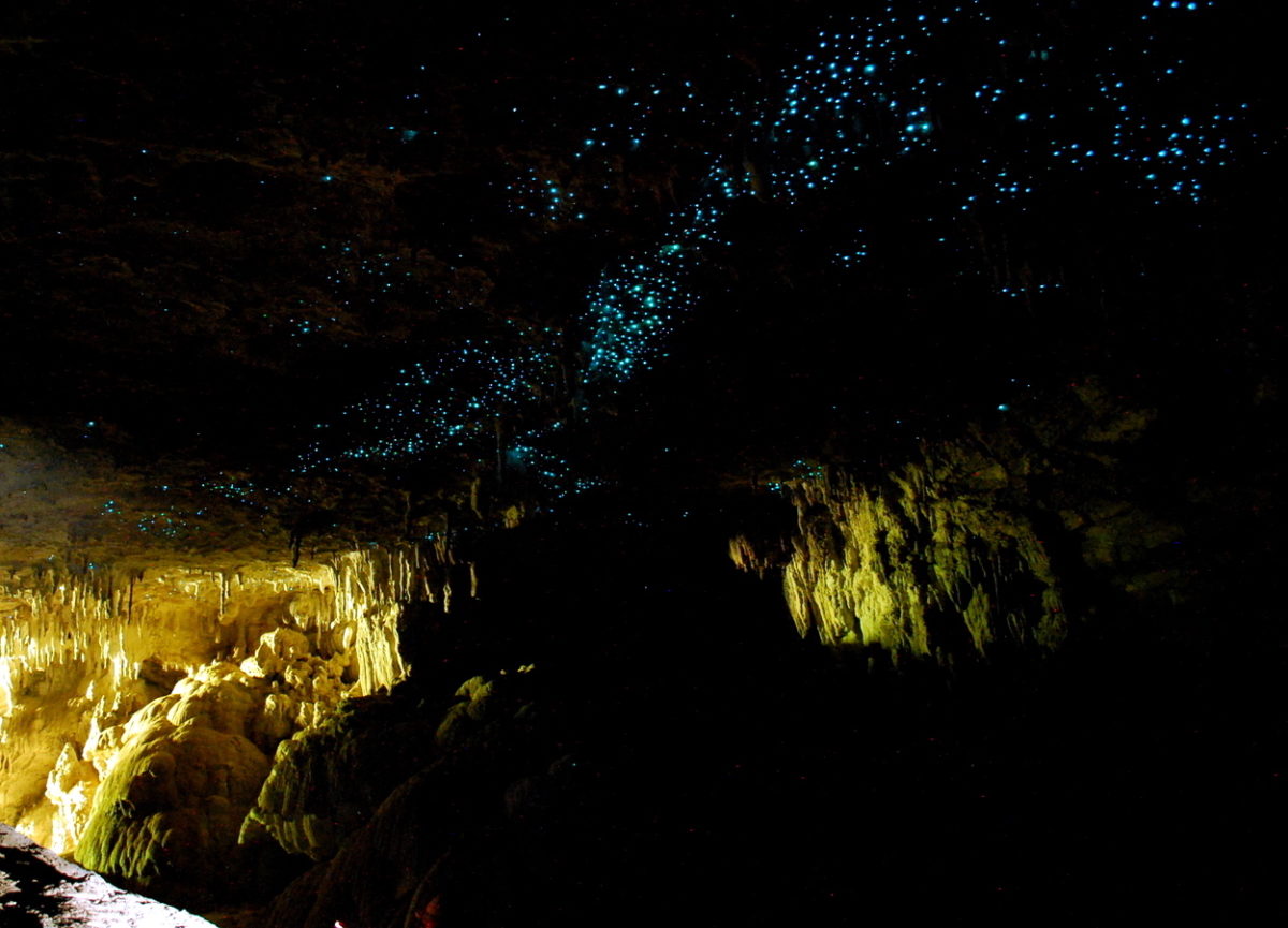 a cave with glow worms on the ceiling