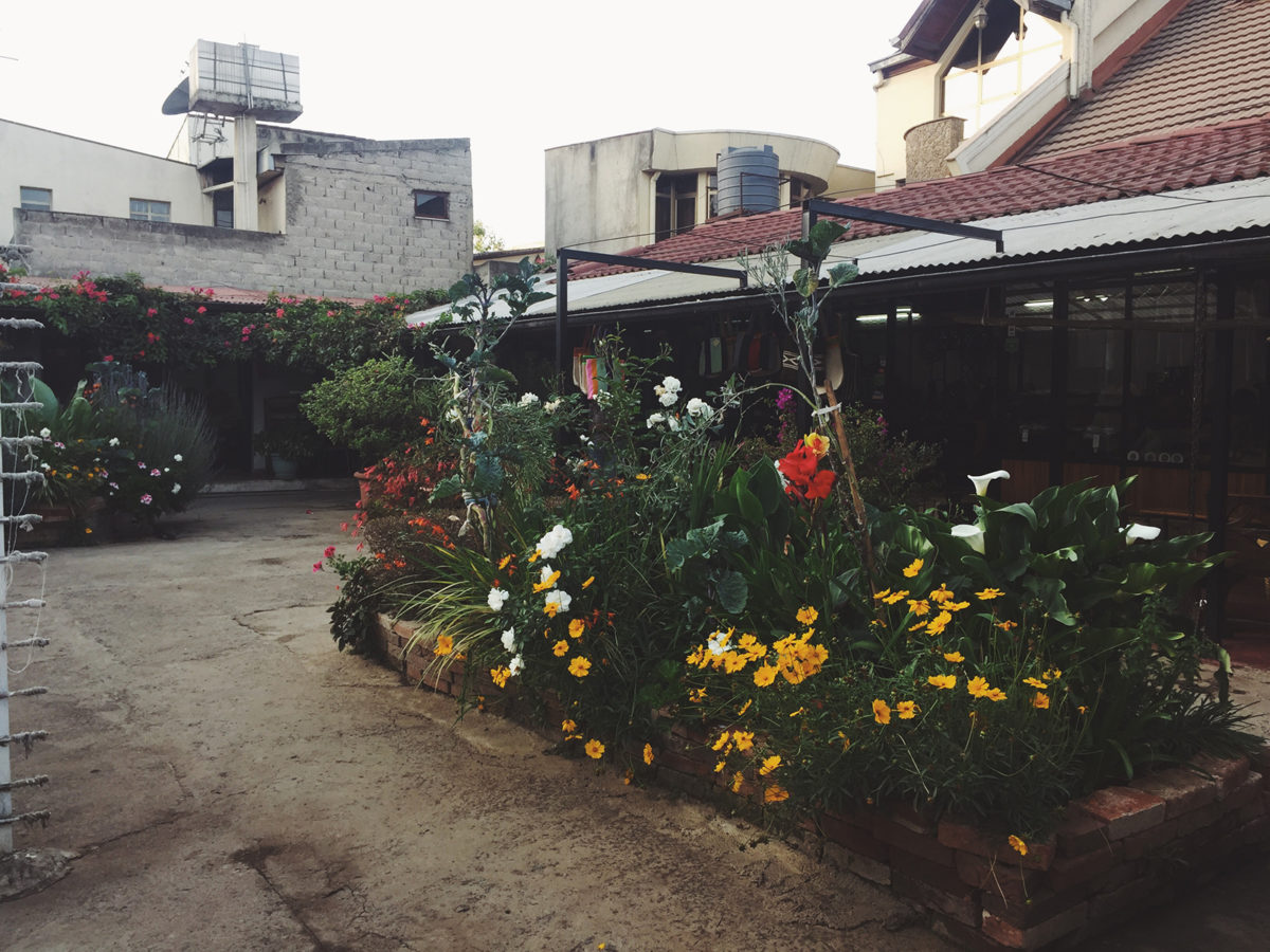 a garden outside a gallery