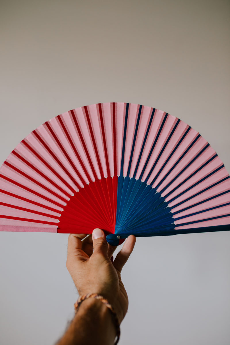 a Japanese fan