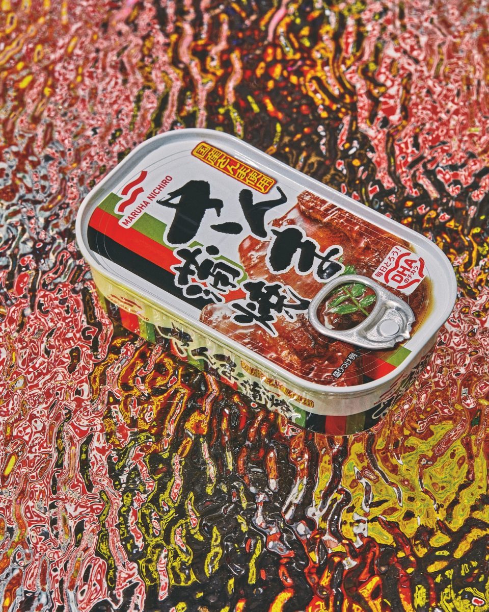 a can of fish