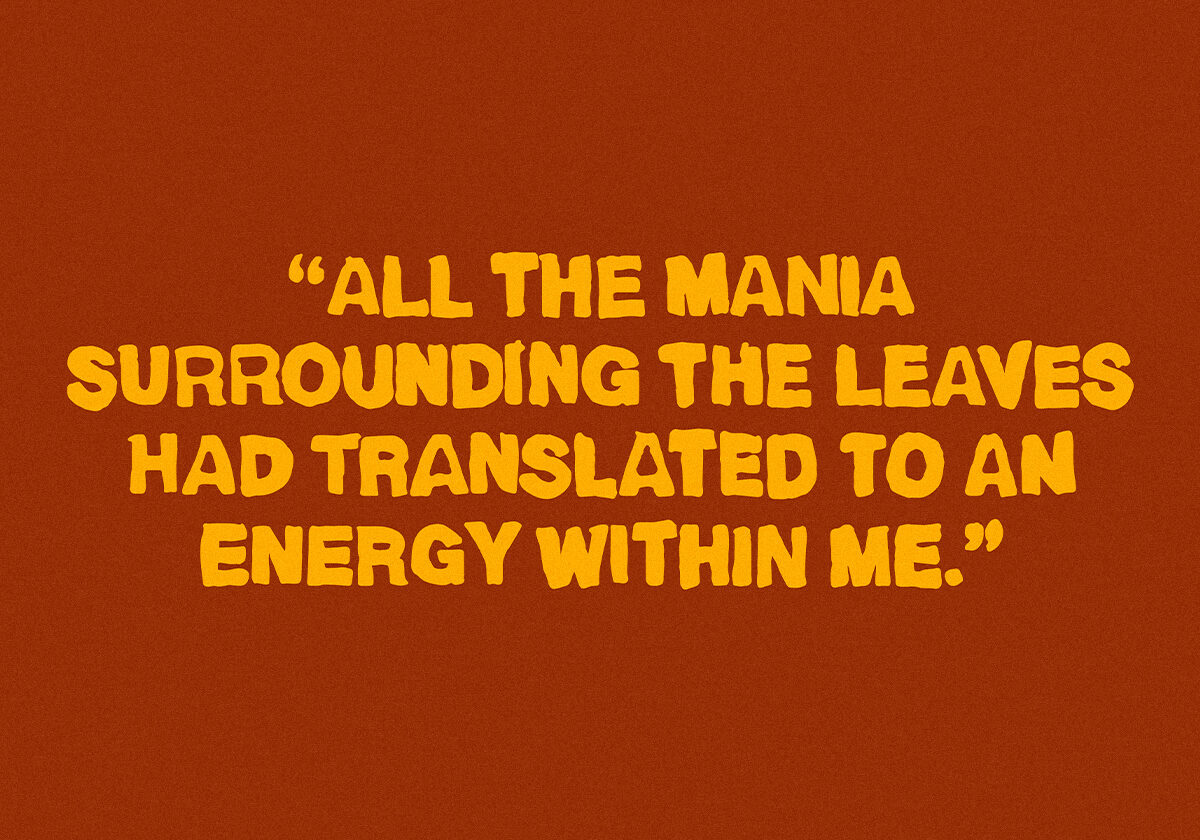 a quote reading '"all the mania surrounding the leaves had translated to an energy within me"