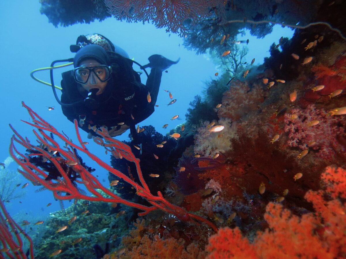 a diver in raja ampat