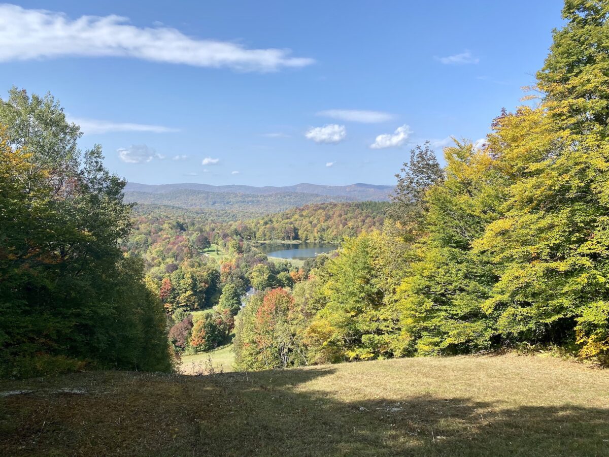 a tree-lined valley